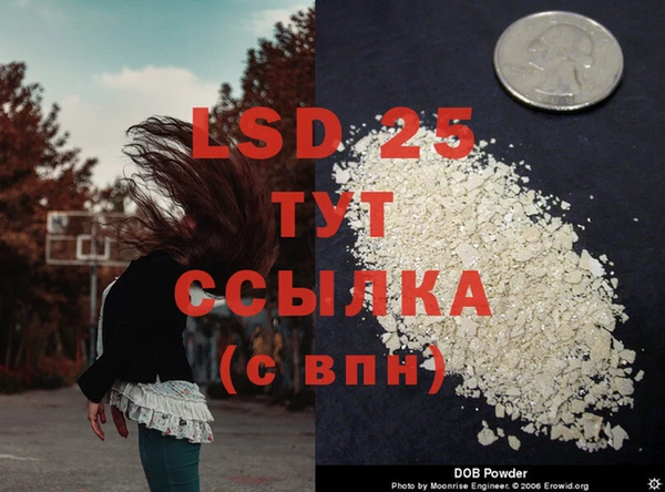 сатива Баксан