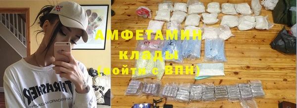 сатива Баксан